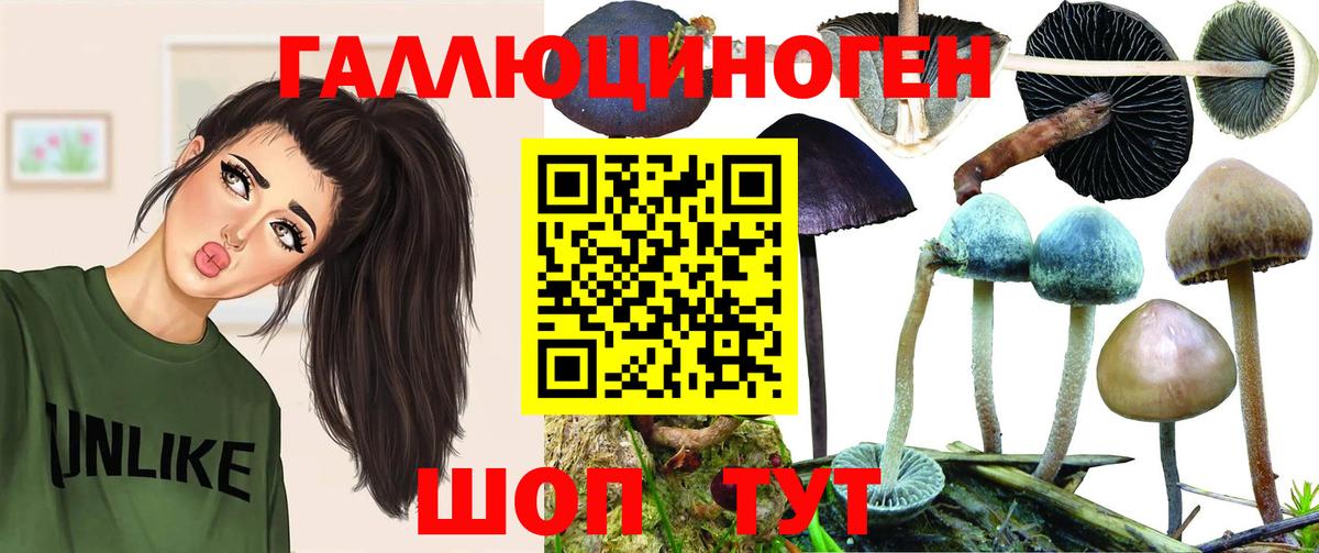 Галлюциногенные грибы Magic Shrooms  Вход с VPN  Тавда 